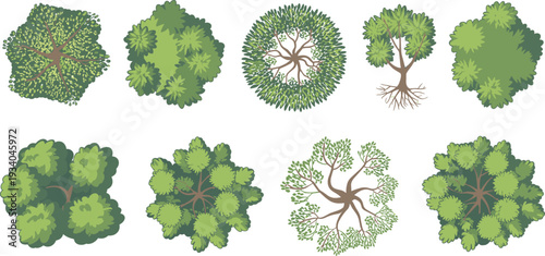 Top view tree and bush collection vector set with detailed green foliage canopy elements for landscape design isolated on white background