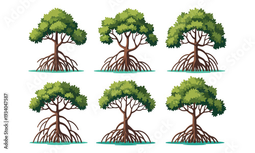 Mangrove Trees with Prop Roots in Water Illustration Set
