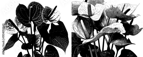 Elegant Monochrome Flower Bouquet