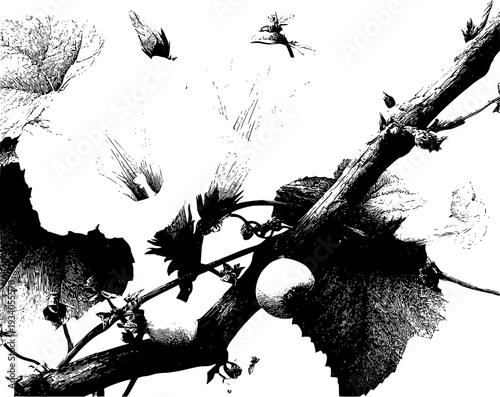 Whispers of Nature: A Black and White Botanical Masterpiece