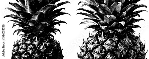 Whispers of the Tropics: The Artful Pineapple