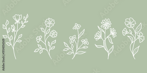 Spring flowers with petals and leaves, hand-drawn. Vector illustration. Collection of summer plants and wildflowers, isolated on a white background. Summer, meadow, garden, and Easter themes.