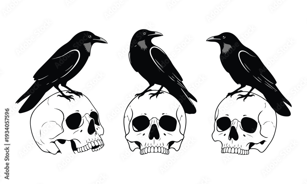 Fototapeta premium Black Ravens Perched on Human Skulls Vector Illustration