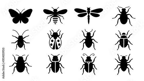 A comprehensive set of various black insect silhouettes including butterflies, bees, dragonflies, and different beetles.