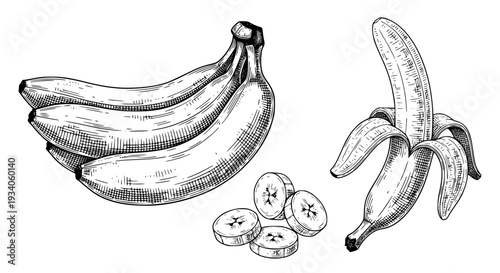 Bananas illustrated with slices and peeled fruit in black and white featuring illustration, healthy, food with drawing