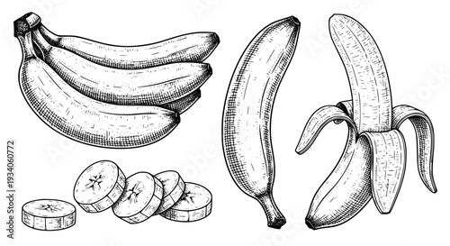 Bananas set with sliced fruit and black line art illustrations featuring banana, bunch, single banana with peeled banana and illustration elements