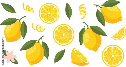 Fresh Yellow Lemon Collection with Whole Fruits Slices Leaves and Citrus Peel Vector Illustration Set