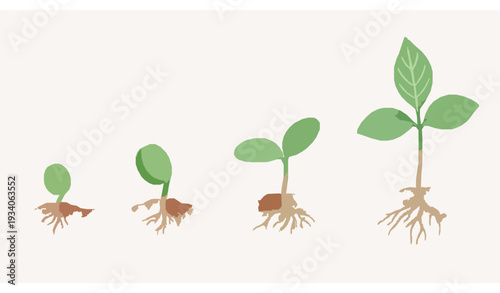 Watercolor Young Green Plant Seedling Vector PNG Set on White Background