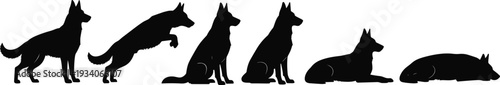 German Shepherd dog silhouette vector set featuring various poses like sitting, jumping, standing, and lying down for pet training, k9 security, and animal rescue branding.