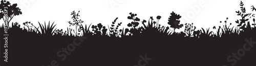 Black silhouette of grass and plants on white background
