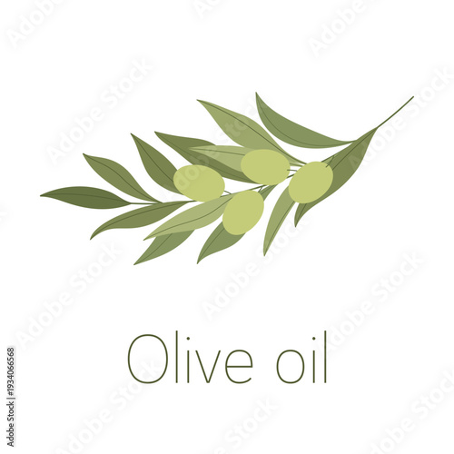 Olive branch, green olives