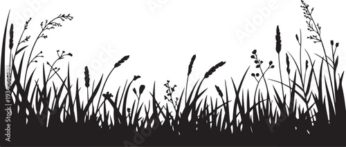 Black silhouette of grass and wildflowers on white background