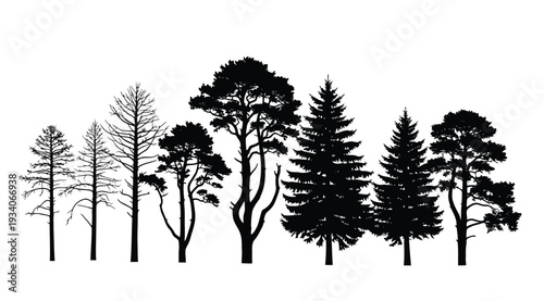 Black silhouettes of various trees on white background, including pine, oak, and bare trees in a row