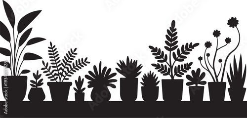 Black silhouettes of various potted plants on a shelf