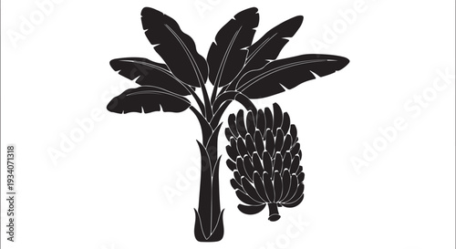 banana tree with a bunch of fruit as a solid black silhouette icon vector illustration
