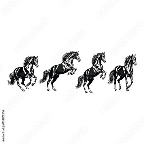 Four black horses in different running positions isolated on white background