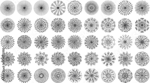 Top View Landscape Architecture Plant Symbols Set with Realistic Green Shrub Icons and Flowering Bush Graphics for Professional Garden Design Layouts and Outdoor Site Planning