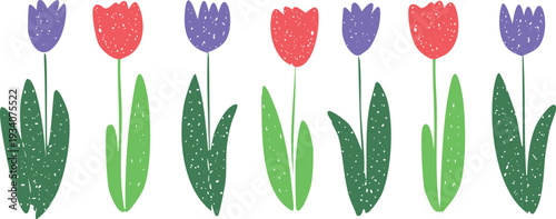 Colorful crayon tulip flowers, pink and purple petals with leaves, doodle kiddy style, simple baby illustration 