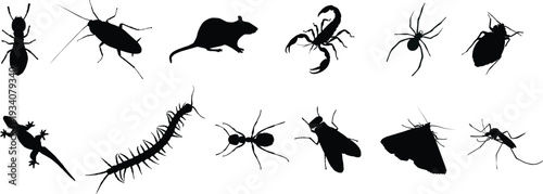 Detailed Pest Control Insect Silhouette Collection, Set of Household Pests and Vermin Icons for Extermination Service and Hygiene Design.