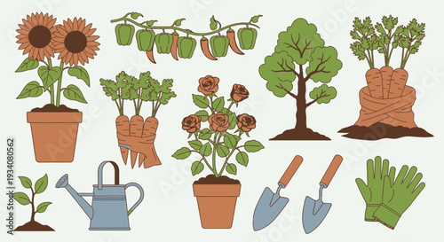 Garden plants and tools illustration with sunflowers carrots and watering can