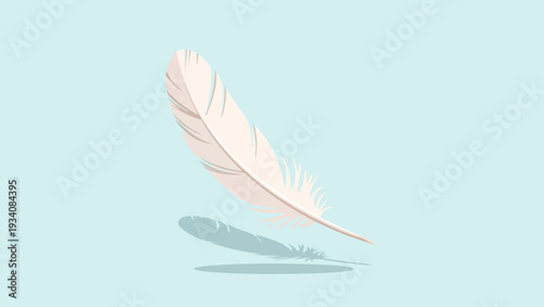 A light pink feather floats above a light blue surface casting a subtle shadow