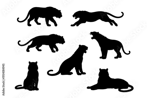 Tiger animal silhouette set