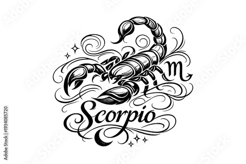 Scorpio zodiac sign illustrations