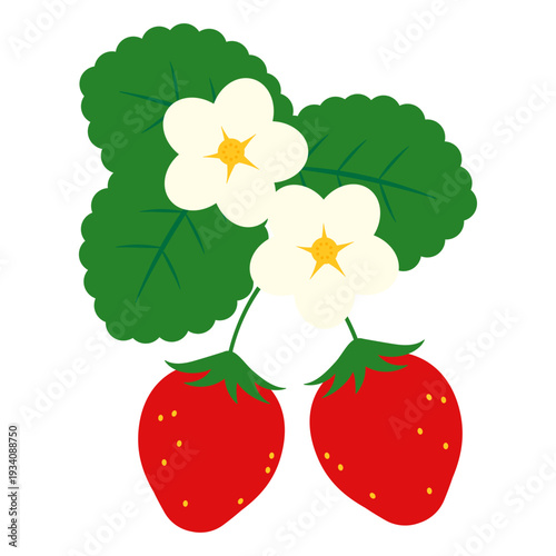 かわいいイチゴのイラスト