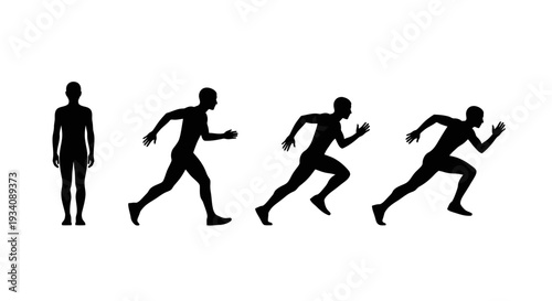 A collection of diverse human head and bust silhouettes showcasing various hairstyles and profiles against a white background.