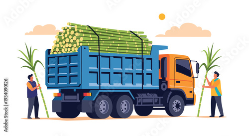 Workers loading freshly harvested sugarcane onto a large blue truck in a field, illustrating the sugar production industry.