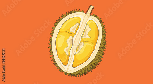 Illustration of a durian fruit cut in half to show the yellow flesh inside its spiky green husk, on an orange background.