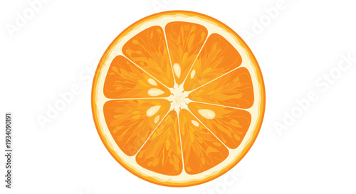 A vibrant and detailed illustration of a juicy orange slice, showing its segments and seeds, isolated on a white background.
