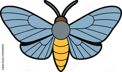 Stylized illustration of a moth with, Blue wings and yellow abdomen