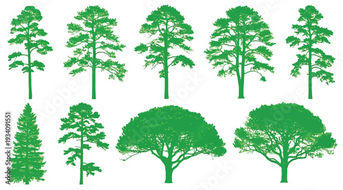 Collection of various green tree silhouettes isolated on white background for landscaping and nature designs