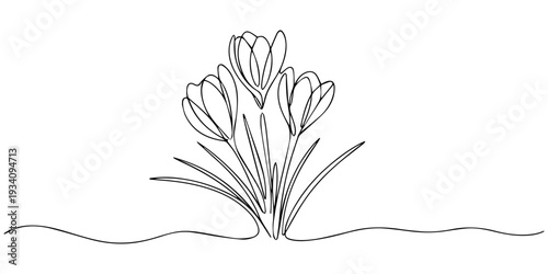 crocus flowers continuous one line drawing, Spring crocus flower in continuous line art drawing style. Minimalist black linear sketch isolated on white background. Vector illustration, Spring crocus