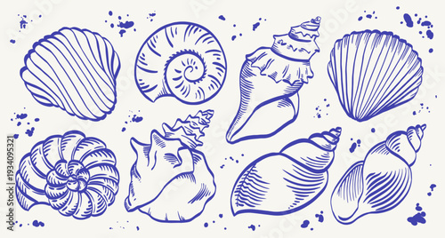 Mediterranean seashell collection with detailed blue line shell illustrations isolated on white background. Vintage marine elements inspired by coastal nature, ideal for seaside, beach and sea themes.