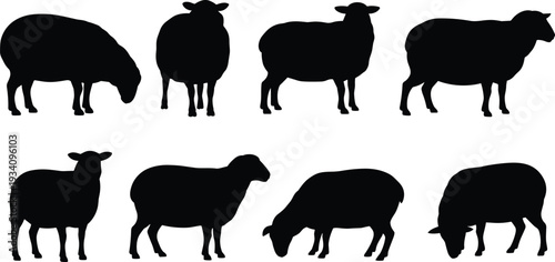 Collection of eight sheep silhouettes in various poses and orientations, animal illustration for wildlife, farming, education, design, and decorative projects on white background