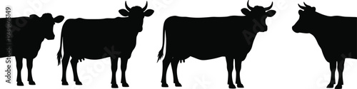 Row of five cow silhouettes in profile facing different directions, livestock illustration for agriculture, farming, education, wildlife, and decorative design projects on white background