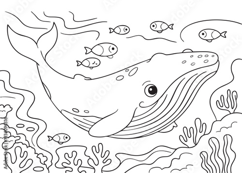 vector illustration of a whale