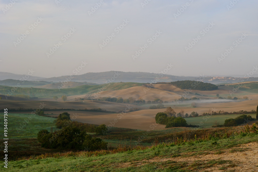 Fototapeta premium Autumn Morning Landscape Near Pienza, Tuscany, Italy