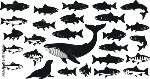 Cad drawing flat vector illustration of marine animals silhouettes, whale, seal, fish biodiversity, aquatic life, underwater ecosystem design