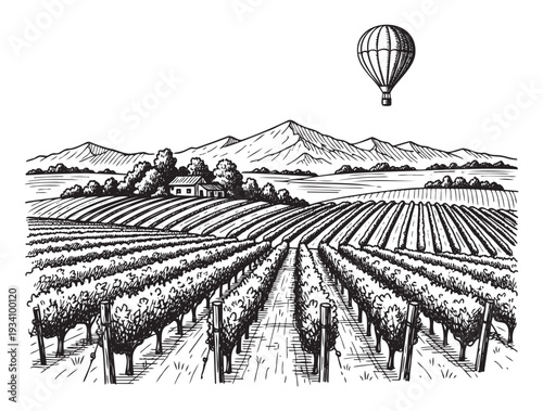 Vineyard landscape with a hot air balloon, mountains, and a farm house, rendered in a vintage handdrawn sketch style, perfect for wine industry branding or travel promotion