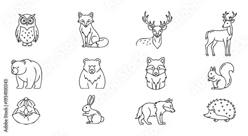 Minimalist woodland animal icons for nature themed projects, educational materials, or childrens books providing a charming visual collection