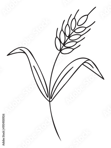 Stylized wheat stalk graphic featuring an ear of grain and leaves, representing natural food, farming, and organic products, suitable for branding and informational visuals.
