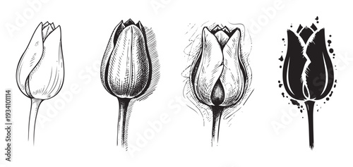 Versatile set of black and white tulip flower buds depicted in multiple graphic styles, including classic outline, detailed sketch, and bold silhouette, ideal for springtime branding and