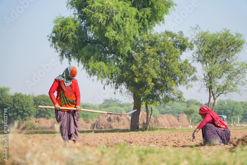 Indian villager lady woman wear saree cover head use farm rake dry tilled soil land early stage field rural area senior worker female sitting on field do work pre sowing day time village place