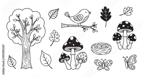 Hand drawn forest nature elements including a tree, leaves, bird, mushrooms, nest, and butterflies perfect for childrens coloring books or educational activities