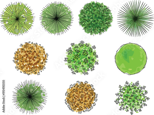 Hand drawn vector set of sketch and flat green and autumn tree symbols for landscape architecture site plan design garden mapping projects and diagrams.