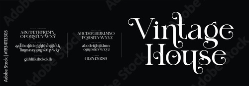 Elegant alphabet letters font logo. Typography luxury classic lettering serif fonts decorative wedding vintage retro logos, design for fashion,beauty shop and brand . vector illustration
