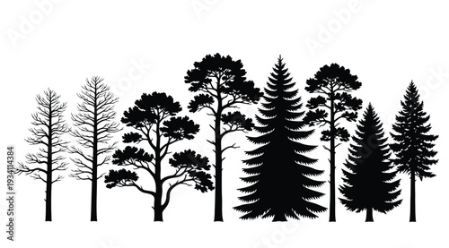 Collection of various tree silhouettes on white background for design and decoration purposes easily